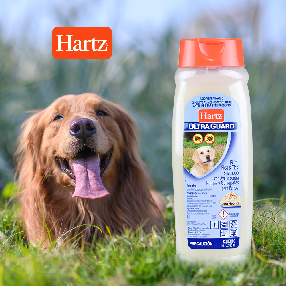SHAMPOO ANTIPULGAS AVENA
