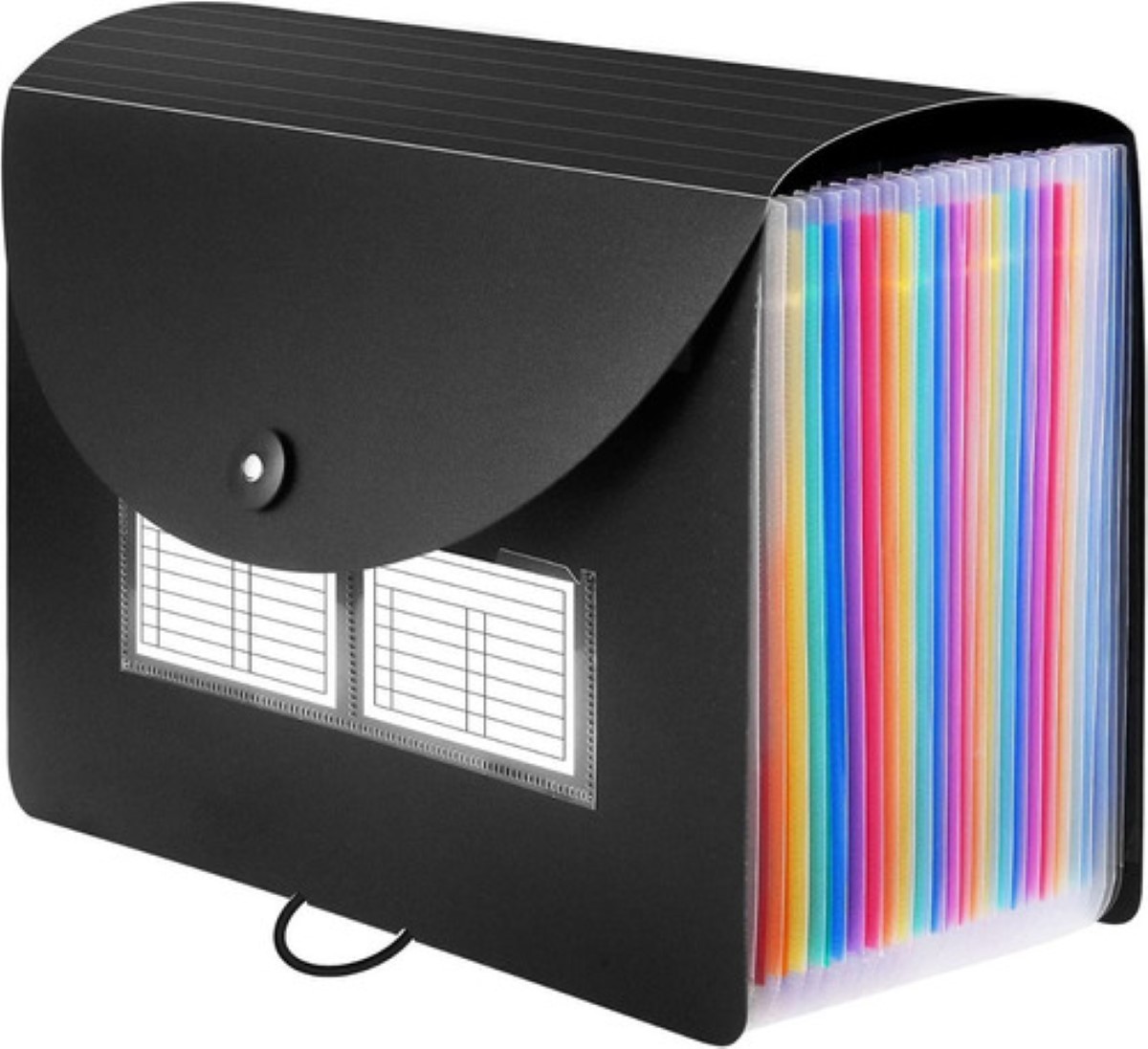 Carpeta De Archivo Acordeón Ampliable Tamaño A4, 24 Bolsillo Ngro