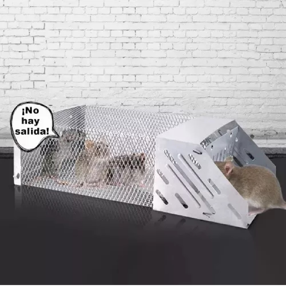 Trampa Para Ratas Y Jaula Ratones Inteligentes Reutilizables