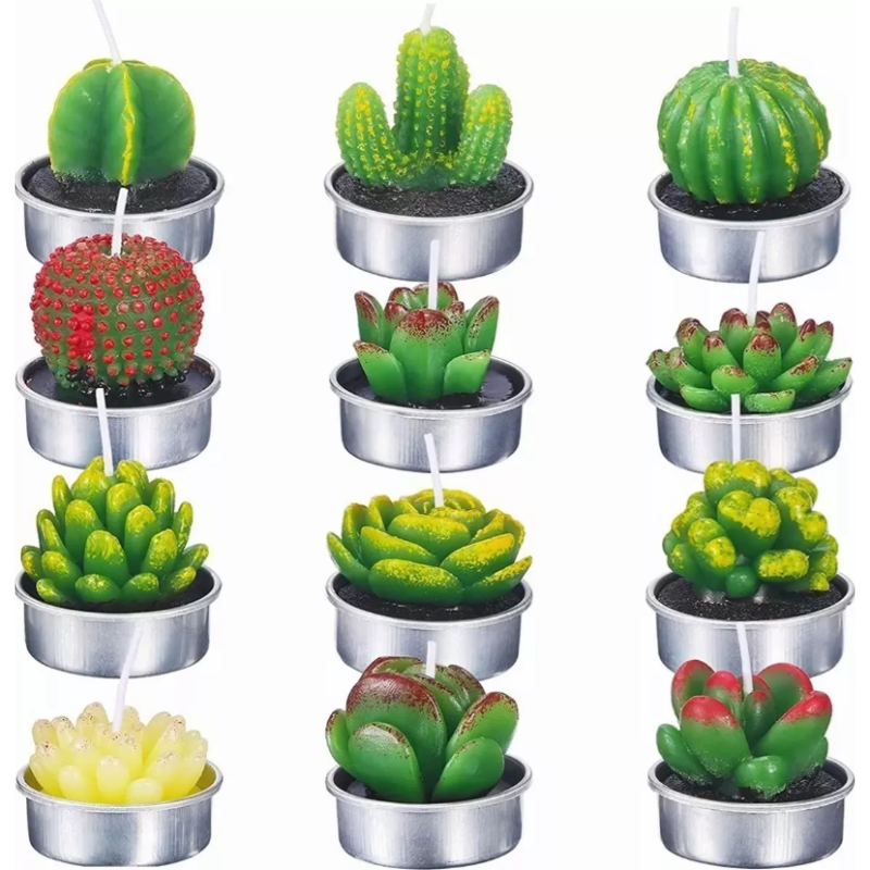Velas Aromáticas Decorativas Suculentas 12 piezas