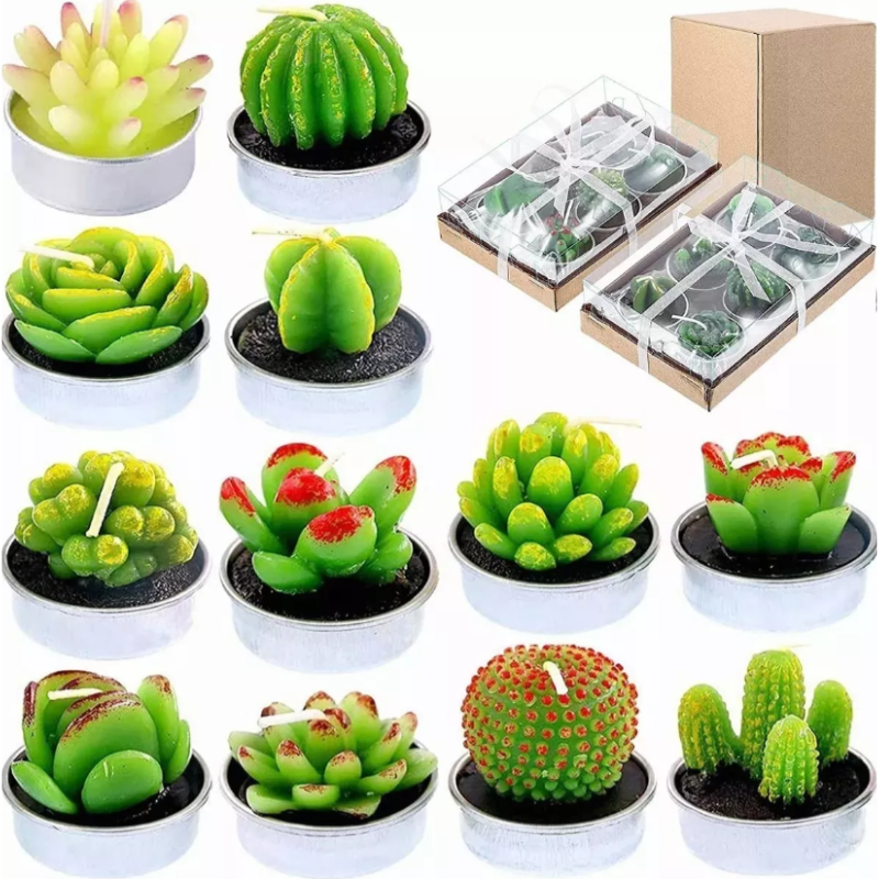 Velas Aromáticas Decorativas Suculentas 12 piezas