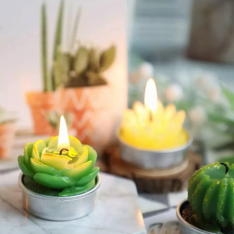 Velas Aromáticas Decorativas Suculentas 12 piezas