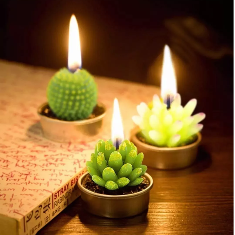 Velas Aromáticas Decorativas Suculentas 12 piezas