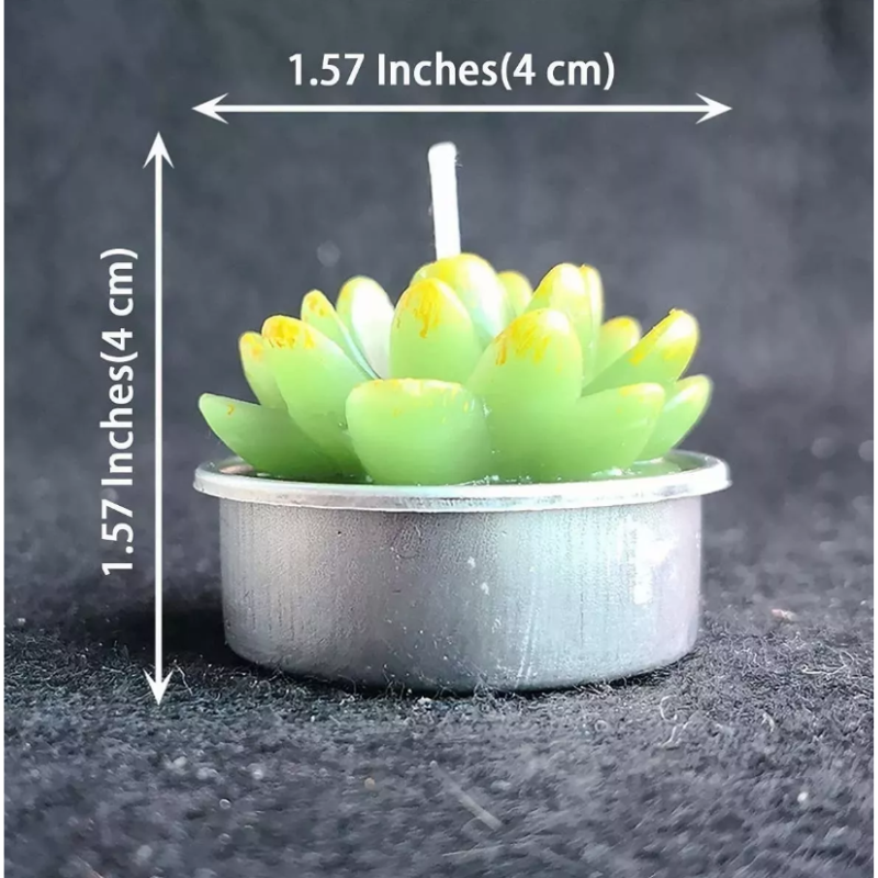 Velas Aromáticas Decorativas Suculentas 12 piezas
