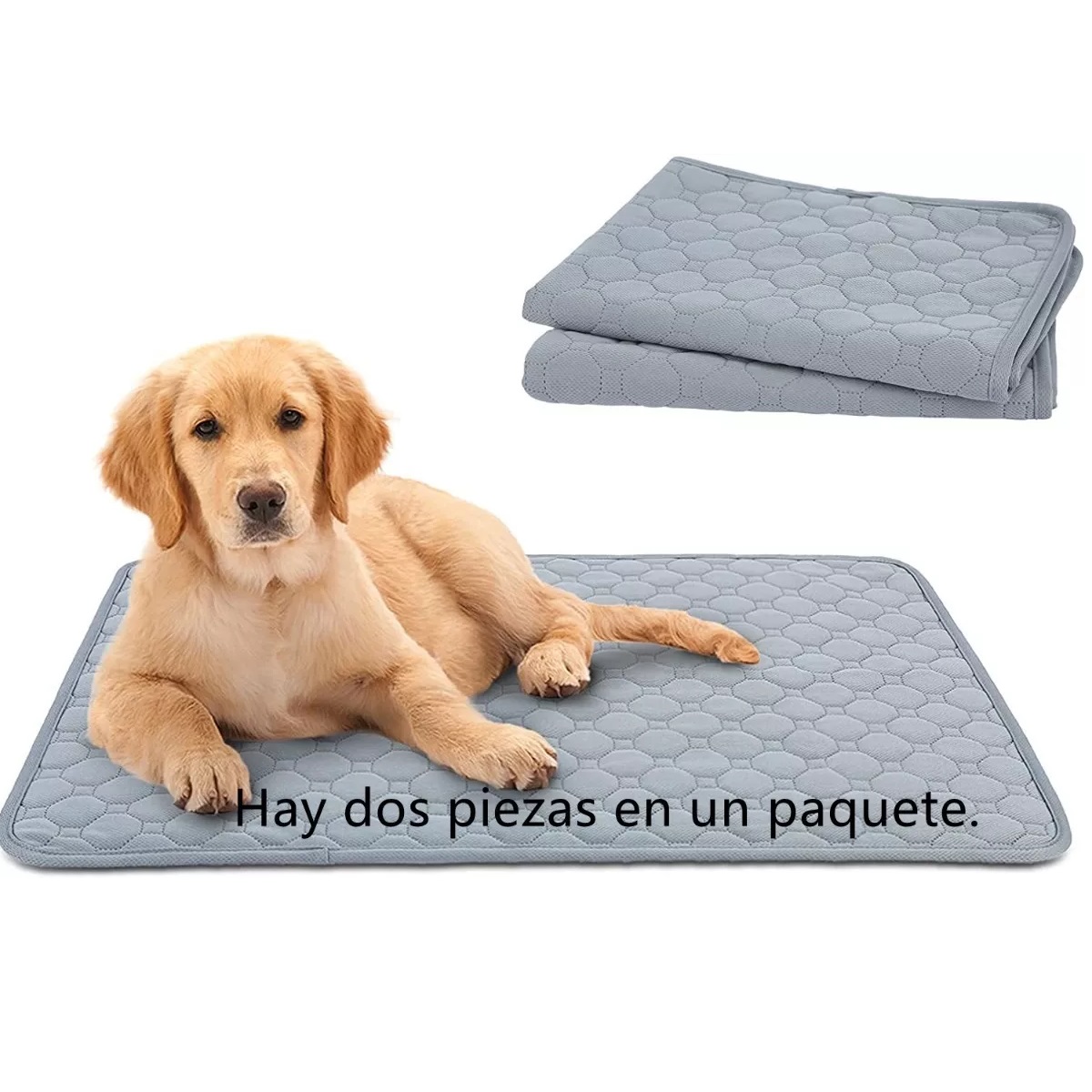 Par Almohadillas Lavables Para Pipí De Perro, Alfombrillas Antid