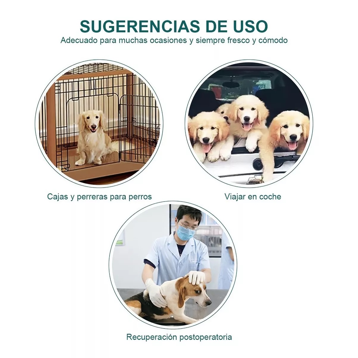 Par Tapete Entrenador Para Perro Pipí Almohadillas Lavables 2pcs