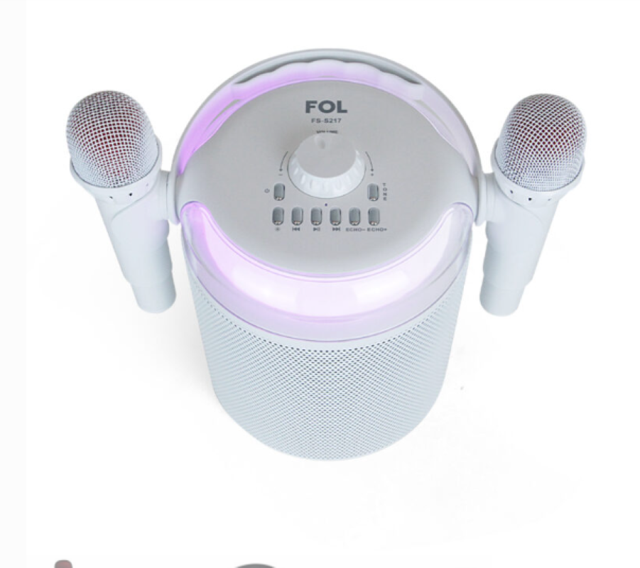 Bocina Portátil Fol FS-S217 Karaoke con Dos Micrófonos 4