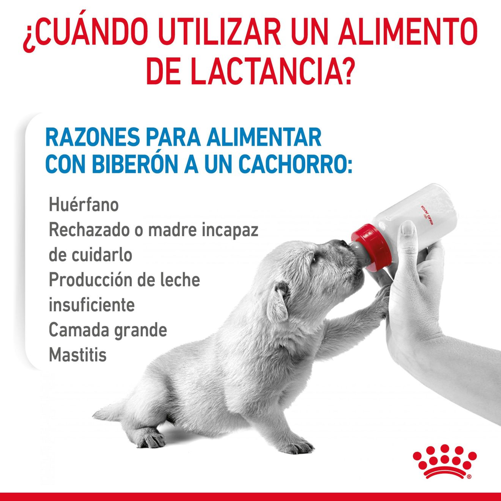 Leche Perro Cachorro BabyDog Milk 400g C/ Mamila Royal Canin