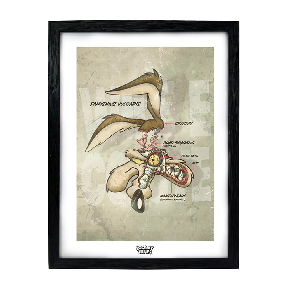 Cuadro Decorativo Coyote - Looney Tunes - Geek Industry 