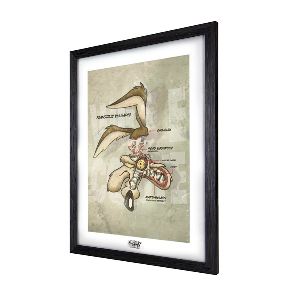 Cuadro Decorativo Coyote - Looney Tunes - Geek Industry 