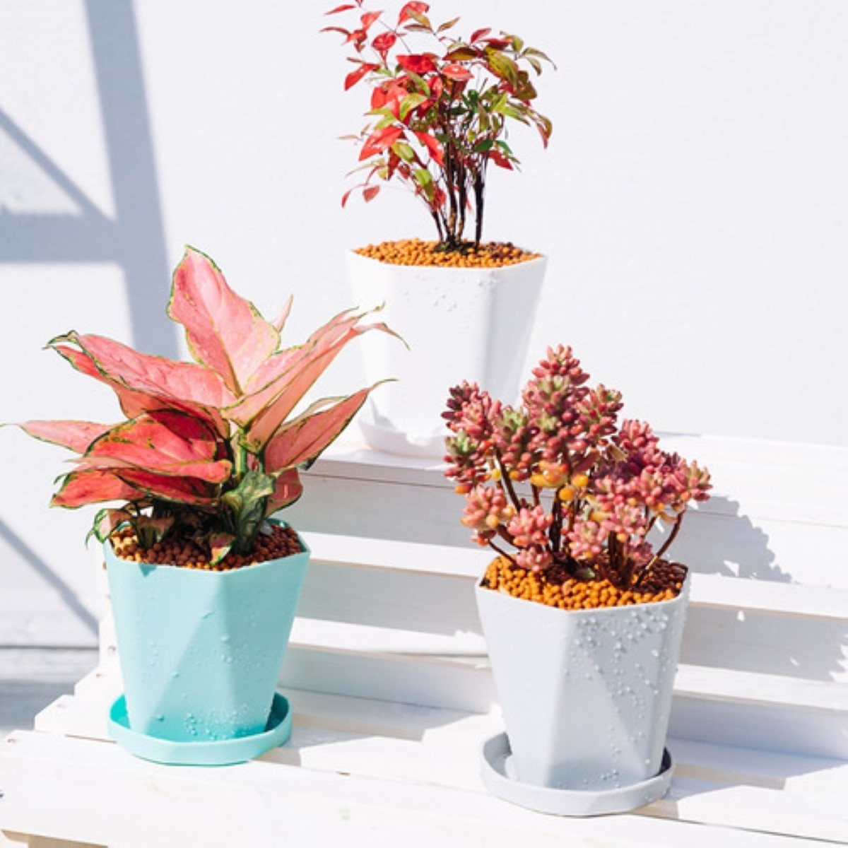 Maceta Pequeña P/interior/exterior 6 Pzs Gris/Blanco/Verde/Amarillo/Rosa