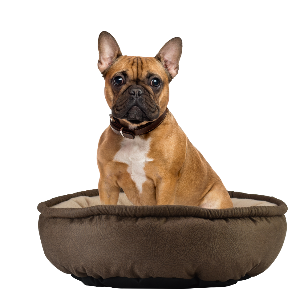 CAMA CH REDONDA ECONOMICA