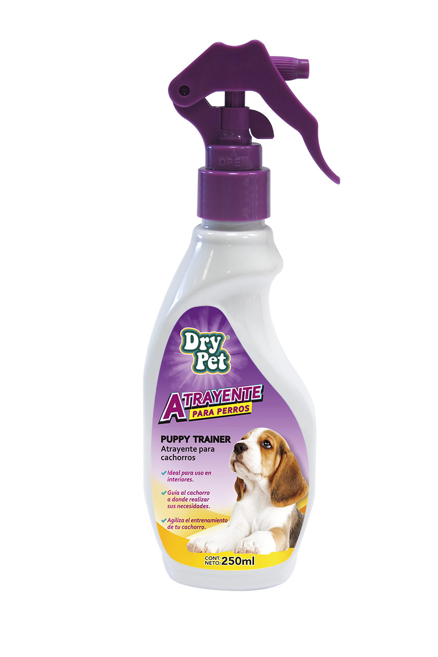 Pañales Dry Pet CH Para Perro 12pzas