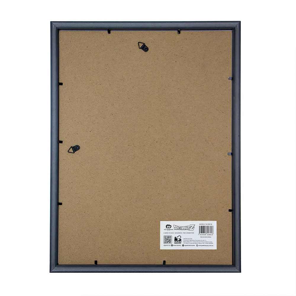 Cuadro Decorativo de Dragon Ball Gurreros Z - Geek Industry .