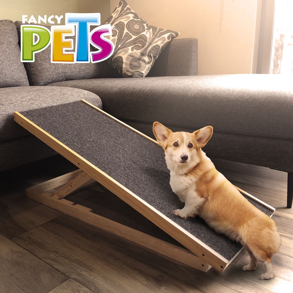 RAMPA PARA MASCOTAS