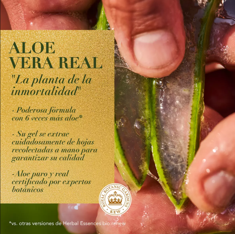 Shampoo Herbal Essences 681828 Bio Mango Protege y Repara 865 ml