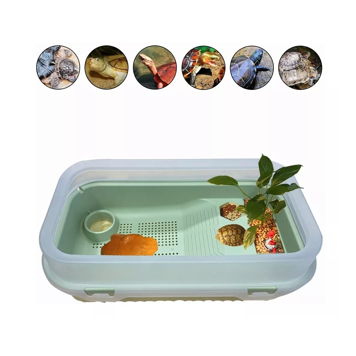 Acuario De Tortuga Tanque De Tortuguero Terrario De Reptiles