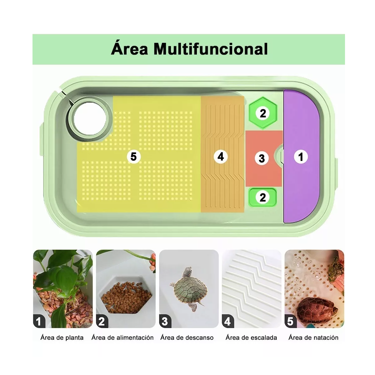 Acuario De Tortuga Tanque De Tortuguero Terrario De Reptiles