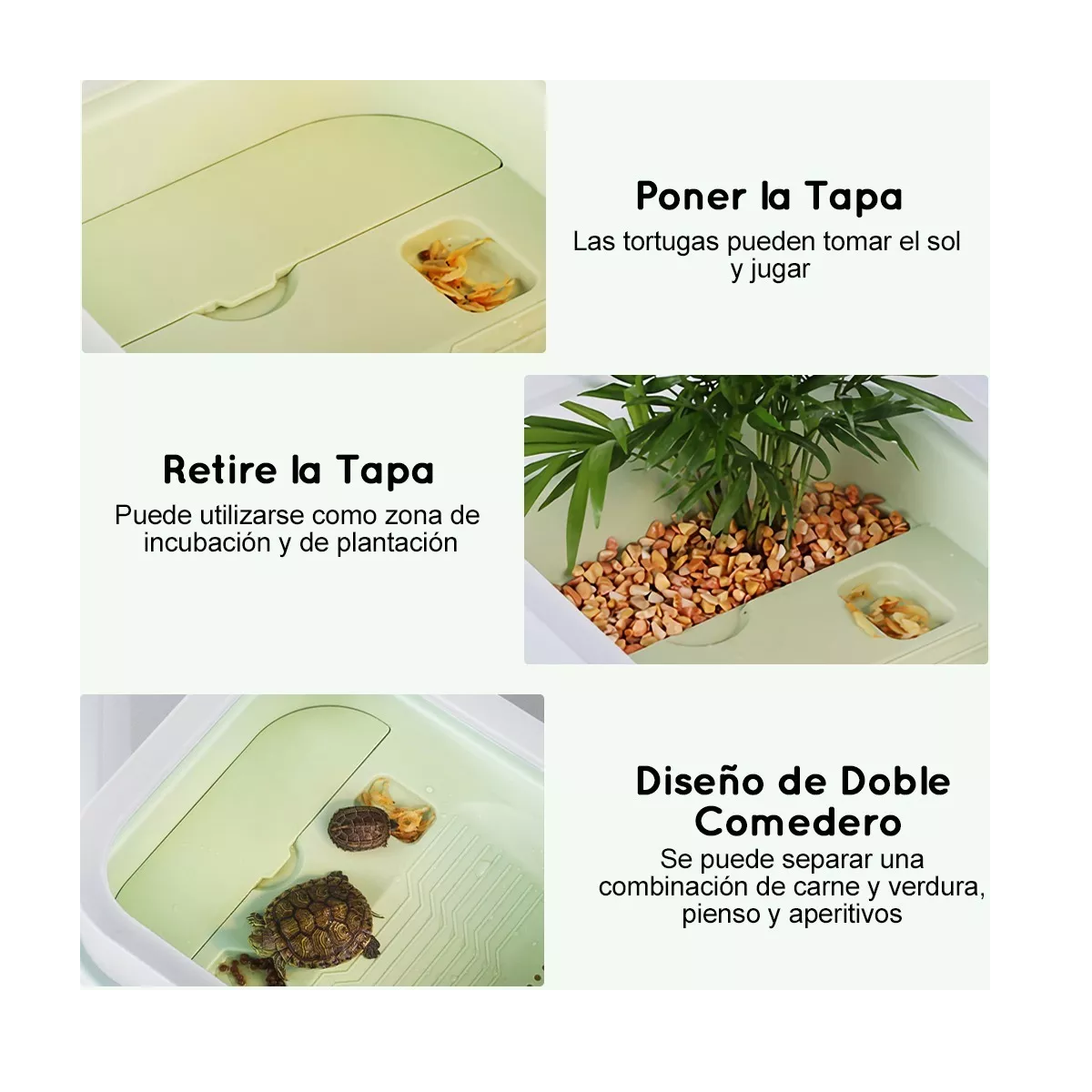 Acuario De Tortuga Tanque De Tortuguero Terrario De Reptiles