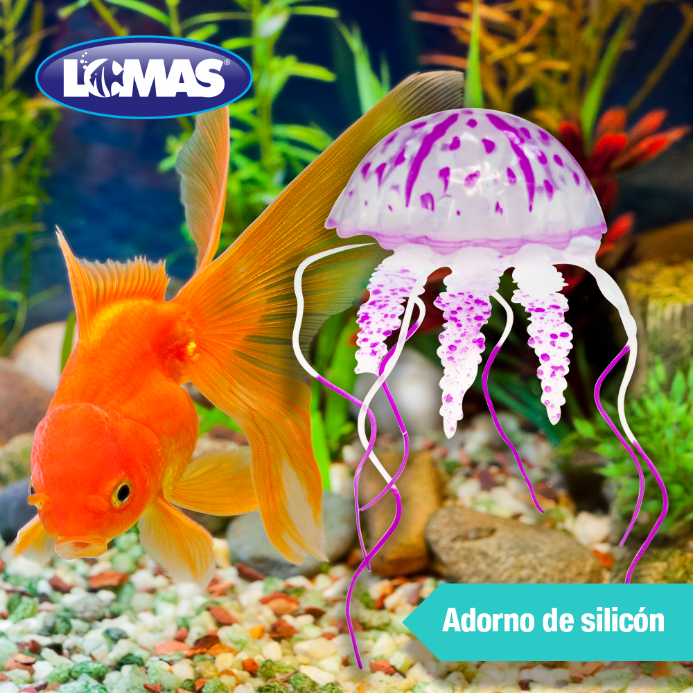 Lomas Medusa Fluorescente para Acuarios y/o Peceras Tamaño Mediano Colores Surtidos