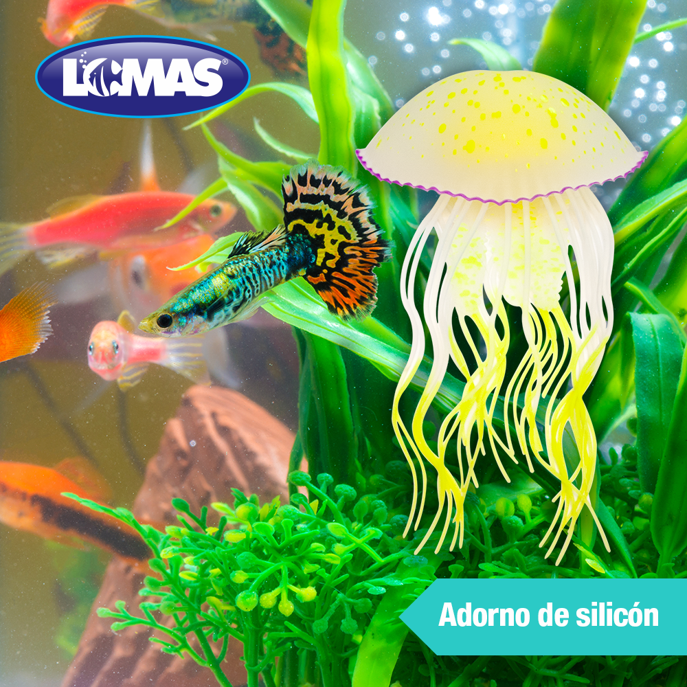 Lomas Medusa Fluorescente Caribe para Acuarios y/o Peceras Tamaño Mediano Colores Surtidos