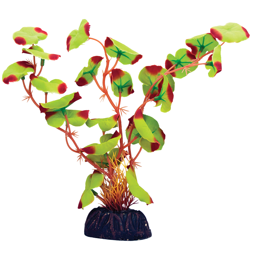 PLANTA DE SEDA SURTIDA 40 CM