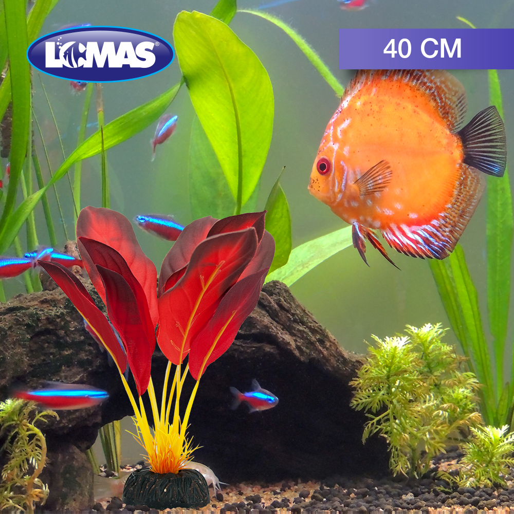 PLANTA DE SEDA SURTIDA 40 CM