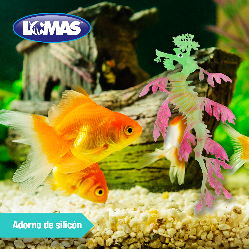 PEZ DRAGON FLUORESCENTE COLORES SURTIDOS