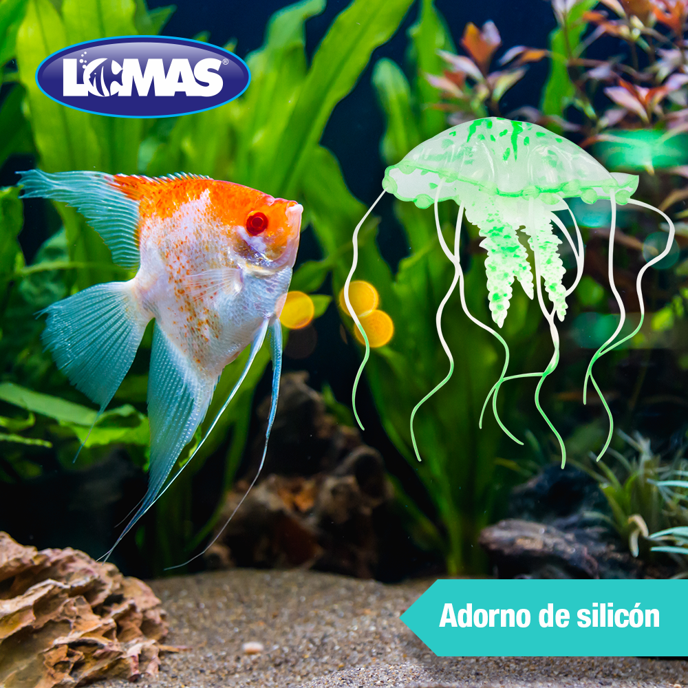 Lomas Medusa Fluorescente para Acuarios y/o Peceras Tamaño Grande Colores Surtidos
