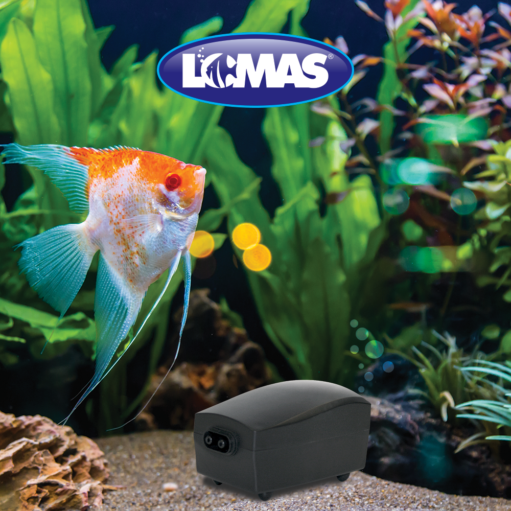 Lomas Aqua Jet 202 Bomba de Aire de 15 Galones para Peceras y/o Acuarios