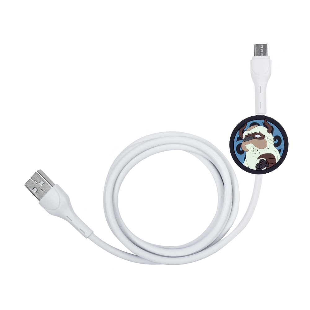 Cable USB a Tipo C Appa - Avatar - Geek Industry