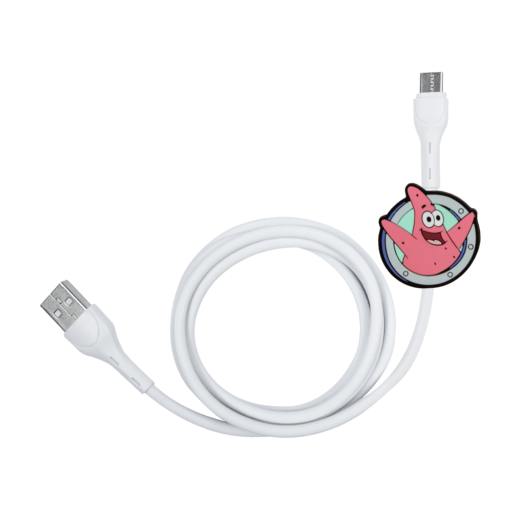 Cable USB a Tipo C Patricio Estrella - Geek Industry 