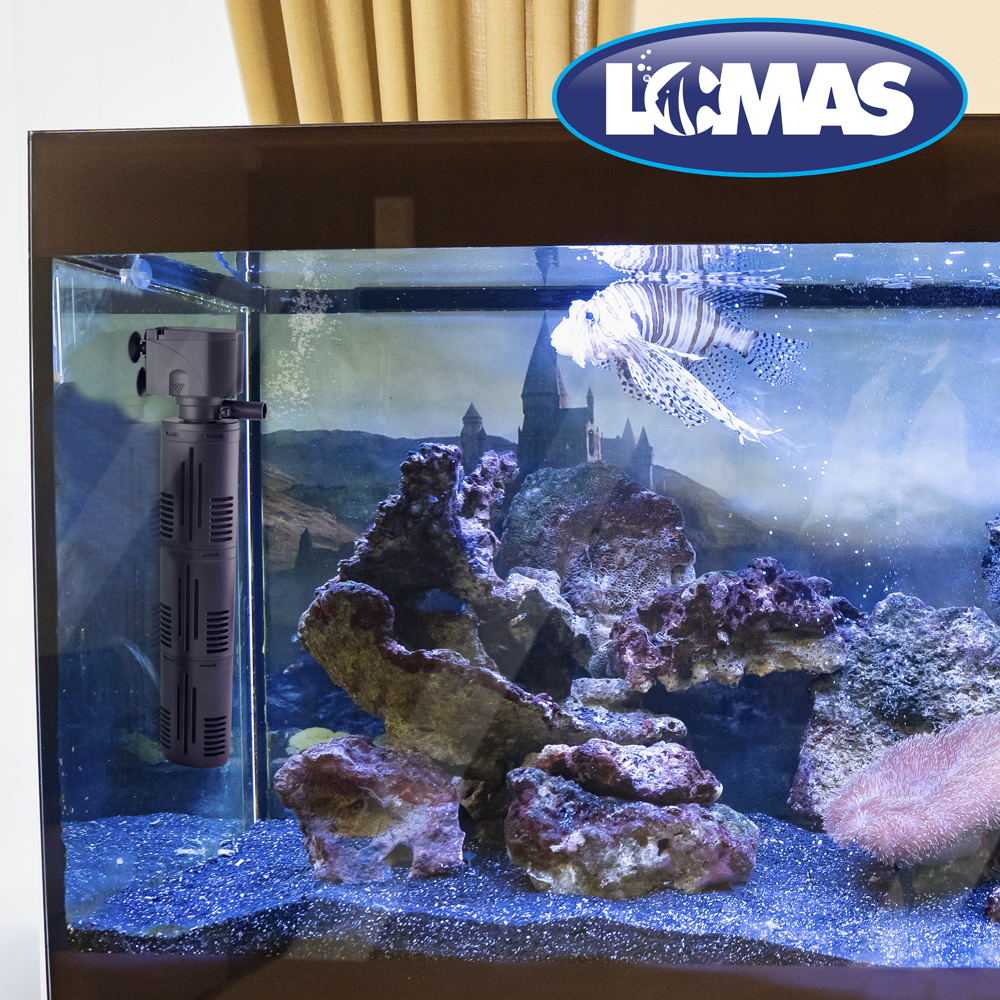 Lomas Aquaflow 30 Cabeza de Poder con Filtro Rápido para Acuarios y/o Peceras