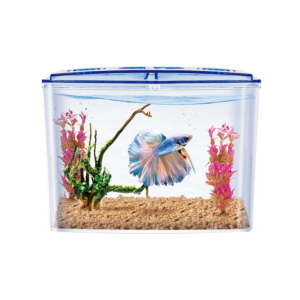 Lomas Betera Pecera Doble de Plástico para Pez Betta con 1.5 Litros