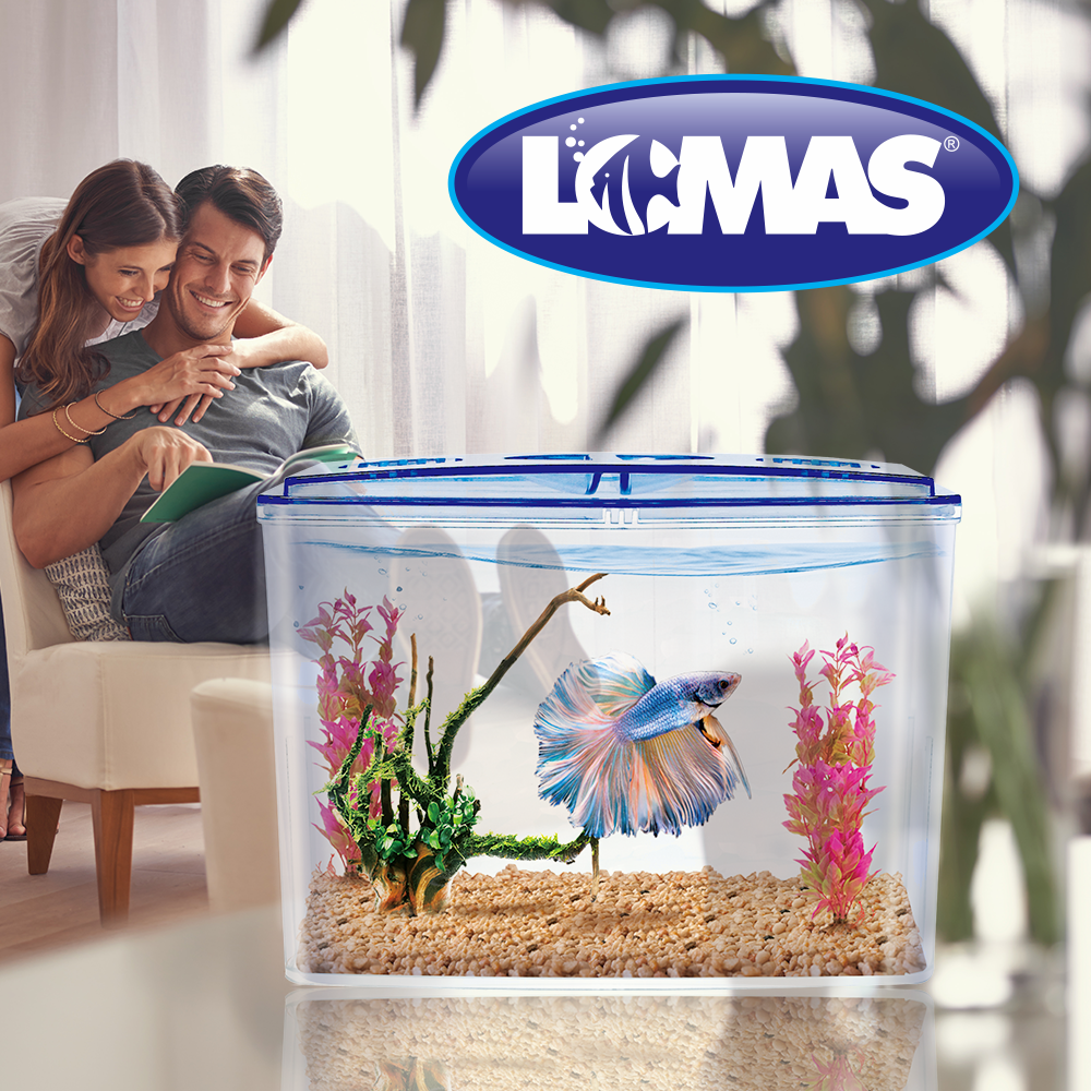 Lomas Betera Pecera Doble de Plástico para Pez Betta con 1.5 Litros