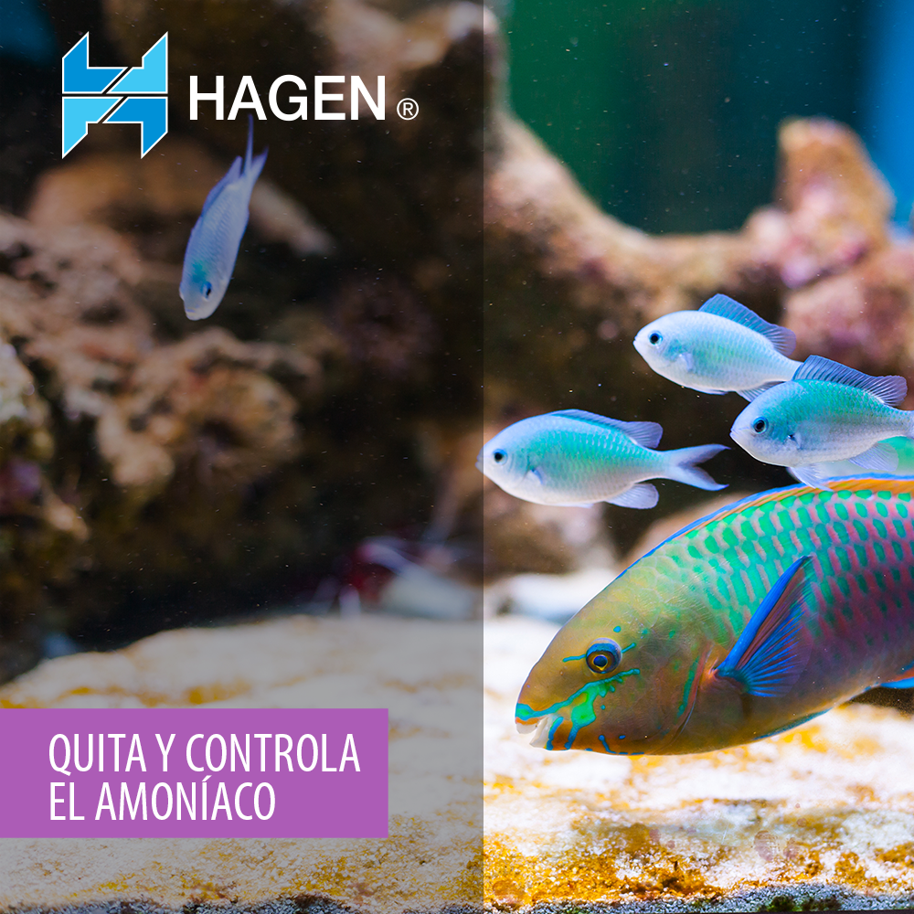 AQUACLEAR AMONIA MINI 20