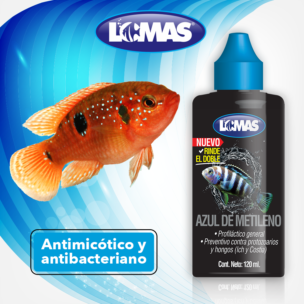 AZUL DE METILENO 120 ML