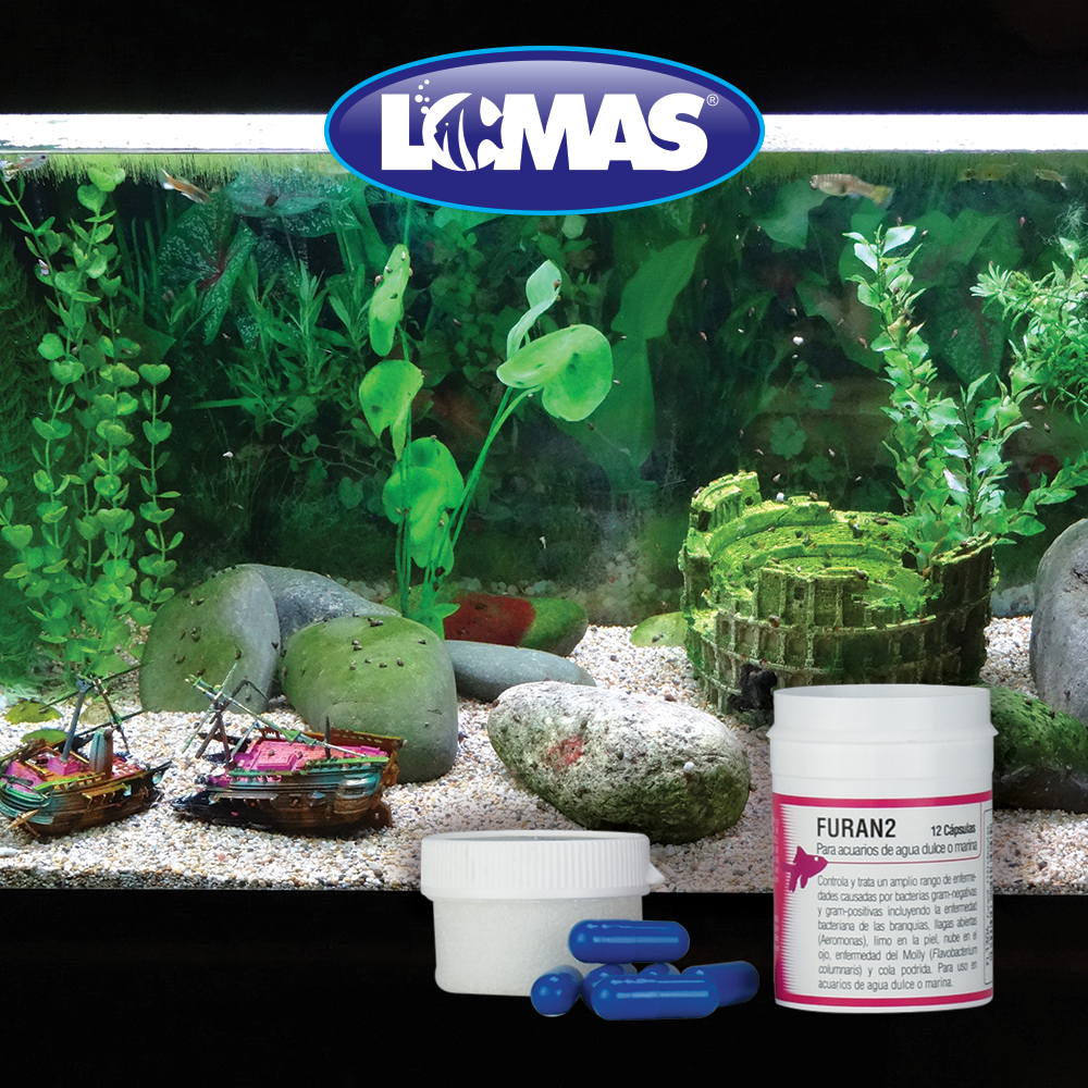 FURAN 2 - 12 CAPSULAS