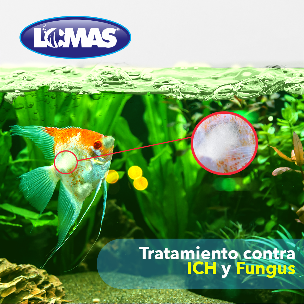 Lomas Verde Plus Contra ICH y Fungus para Peces de Ornato Contiene 1 Litro