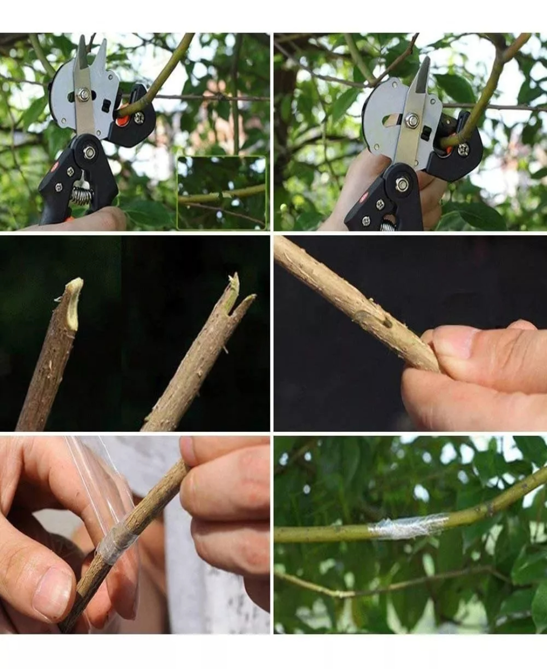 Pinzas Podadoras De Injertos Plantas Jardín Con Cinta D Goma