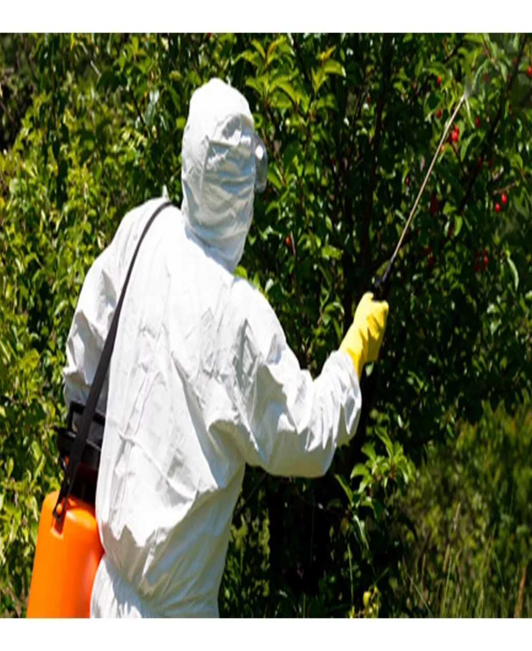 Fumigador 7 Litros Truper 10837