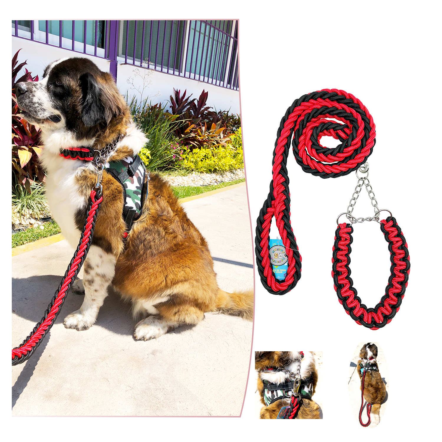 Correa colllar Perro Raza Grande seguridad Trenzada Bitonos.