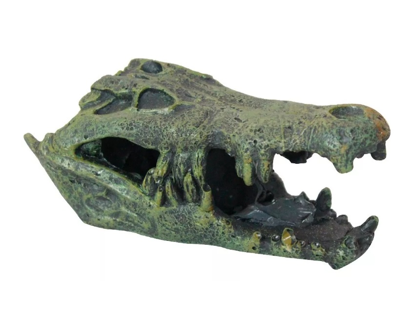 Cabeza Cocodrilo Lujo para Acuarios - Bajio Acuatico