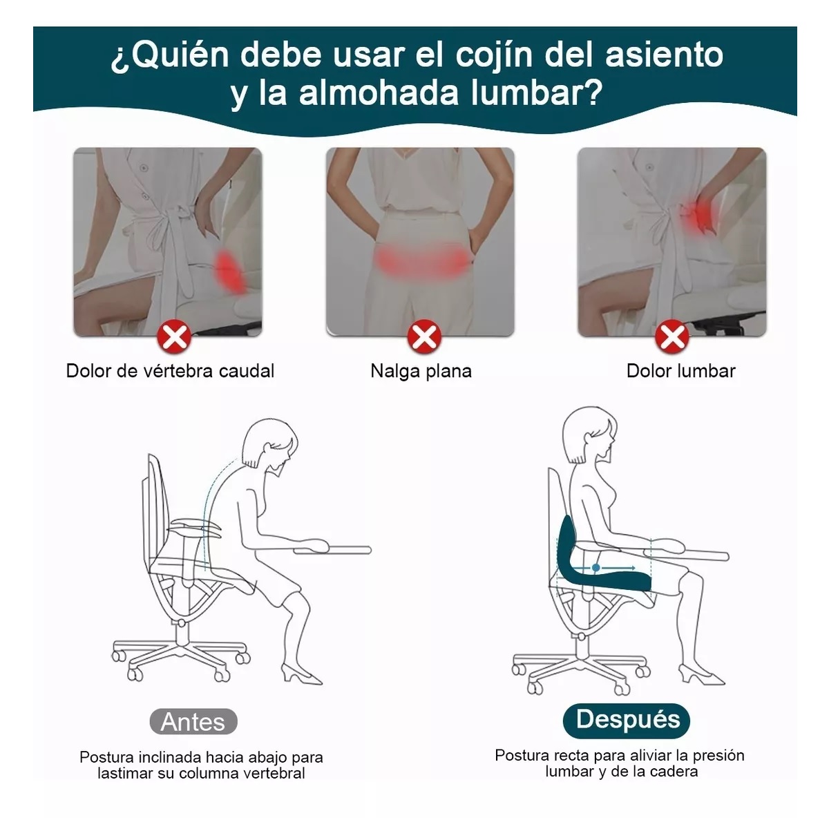 Juego De Almohadas De Soporte Lumbar De Cojín De Asiento