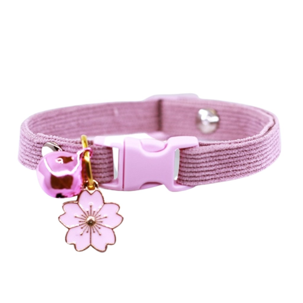 Collar con Campana para Gato - Collar de Seguridad XS, Rosa, Verde, Café