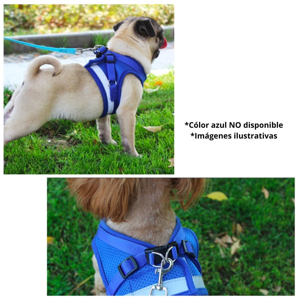 Arnés y Correa para Perro - Pechera para Perros Pequeños - Gris MEDIANA