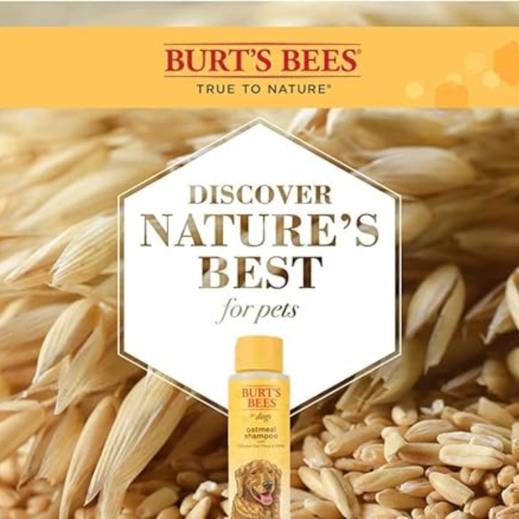 Shampoo natural de avena y miel para perro 946ml CST-AMARILLO