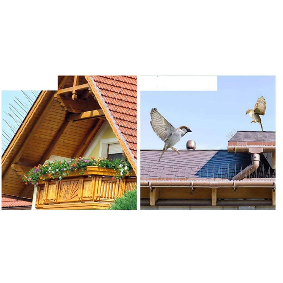 Púas/picos Anti Palomas Aves Pájaros De Acero Inoxidable PLATA