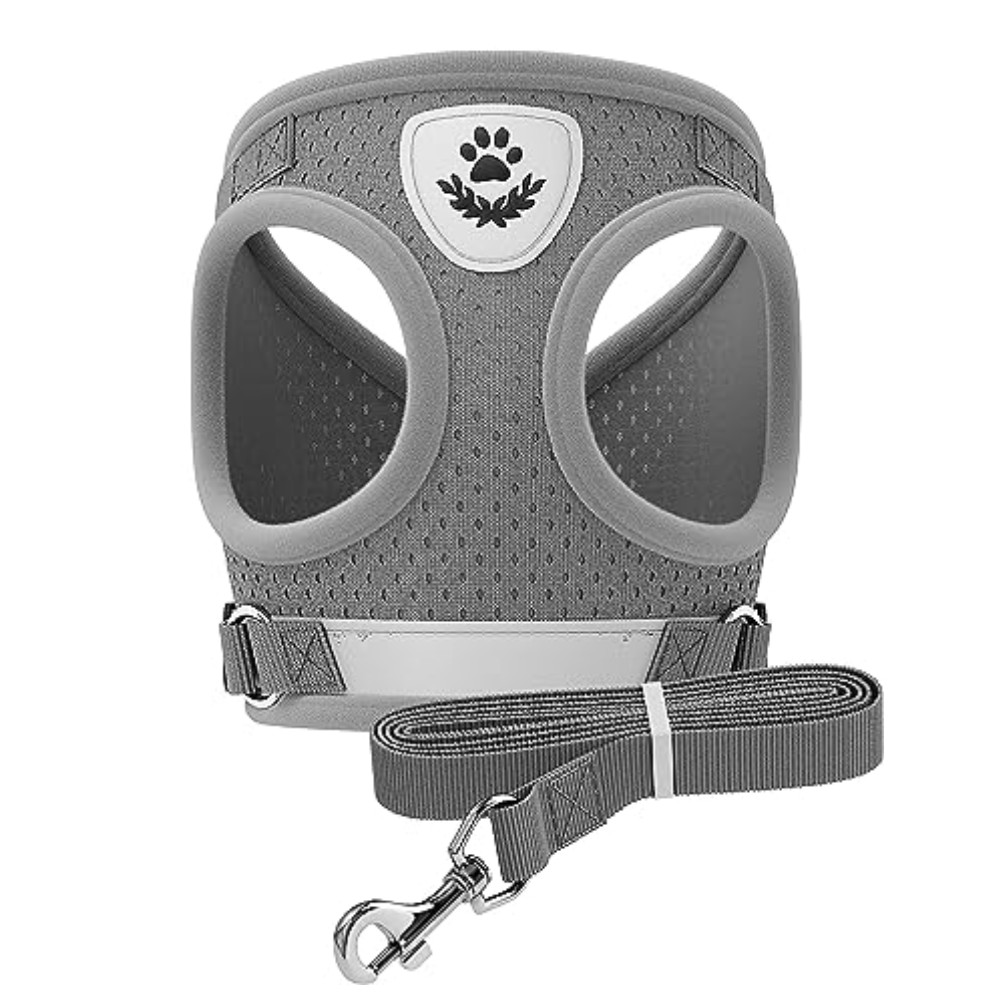 Arnés y Correa para Perro - Pechera para Perros Pequeños - gris GRANDE