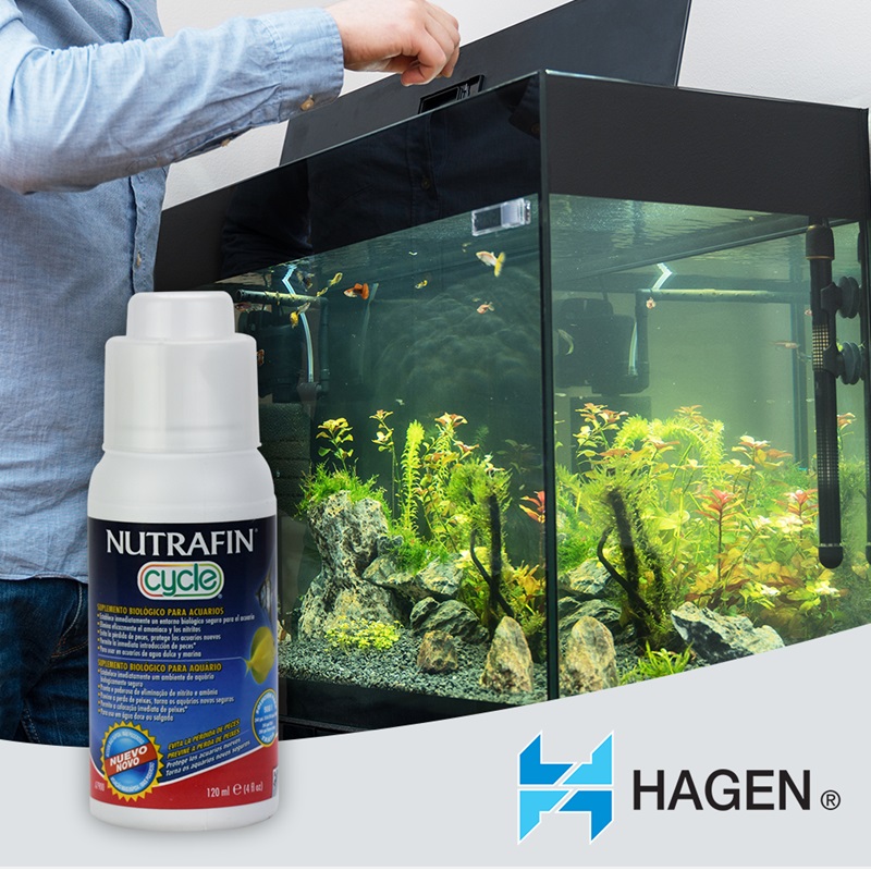 Nutrafin Cycle Suplemento Biologico para Acuarios 120 ml - Hagen